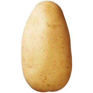 Patata da semina Erika, soda, buccia gialla, ideale per insalata di patate.