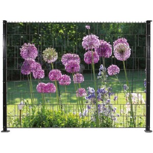Set di strisce frangivista Allium: Recinzione con motivo di aglio ornamentale viola per la privacy del giardino.