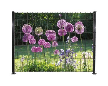 Set di strisce frangivista Allium 9 pz