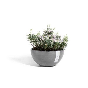 Cache-pot gris Ecopots Brussels, Ø 25 cm, avec plante fleurie.