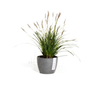 Pot de fleurs Ecopots Stockholm, gris, Ø 16cm, avec graminée ornementale. Idéal intérieur et extérieur.