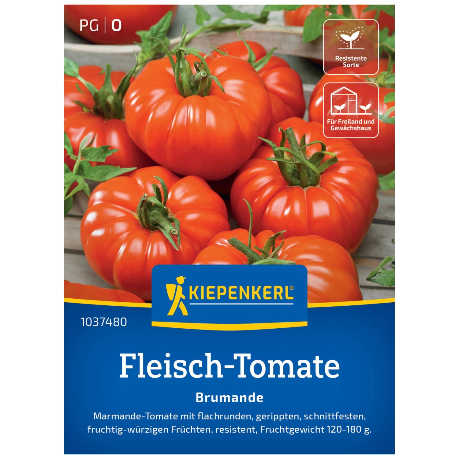 Kiepenkerl Saatgut Fleisch-Tomate Brumande F1 7 Pflanzen