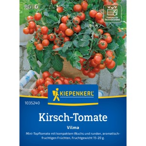 Tomates de balcon Kiepenkerl Vilma en pot avec des tomates cerises rouges et mûres.