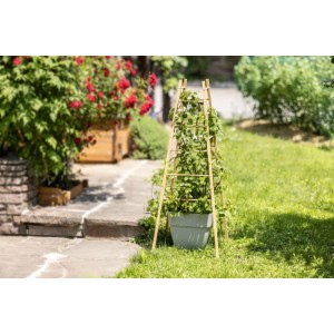 Windhager Piramide per piante rampicanti in legno FSC® (HxLxP) 145 x 50 x 50 cm