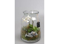 Bepflanzte Schale 1805