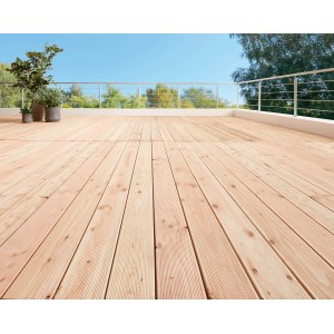 Terrasse avec lames de terrasse en douglas (2,8x14,5x300cm) et rambarde. Terrasse en bois avec plantes.