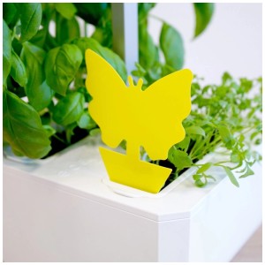 Trappola adesiva a farfalla gialla Véritable in giardino di erbe aromatiche per il controllo dei parassiti.