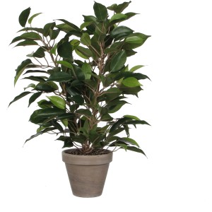 Mica Decorations pianta artificiale Ficus Natasja, alta 40 cm, in vaso grigio. Ficus decorativo.