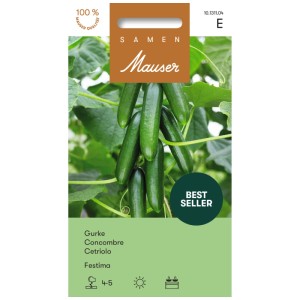 Sachet de graines de concombre Festima : variété précoce de concombre vert pour le jardin.