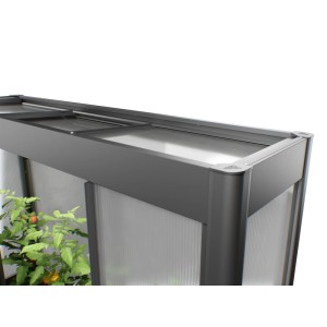 Serre moderne Florentina mini gris foncé avec parois transparentes et plantes. Idéale pour le jardinage.