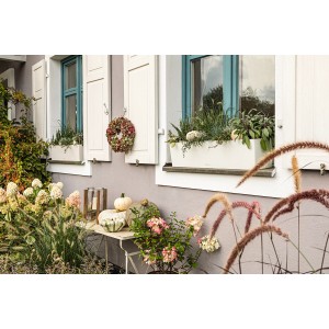 Jardinière blanche Lechuza Balconera Color 80 avec des plantes devant une fenêtre.