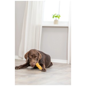 Labrador marrone mastica Trixie Kauzopf Denta Fun con pollo, uno snack premio per cani.