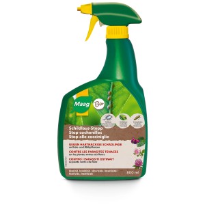 Maag Schildlaus-Stopp Spray 800ml pour plantes vertes et fleuries.