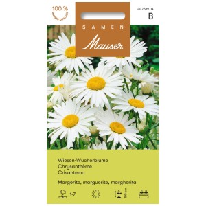 Confezione di semi di Margherita grande, fiori bianco-gialli per prati selvatici, altezza circa 100 cm.