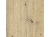 Regalboden Eiche Astig 260 x 60 cm / Stärke 1,9 cm