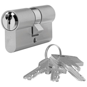 Cylindre profilé Roro 45/50 mm avec 3 clés pour la sécurité des portes.