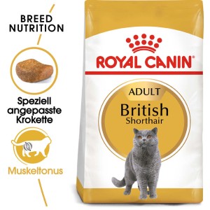 Royal Canin British Shorthair cibo secco per gatti, confezione da 2 kg per gatti British Shorthair.