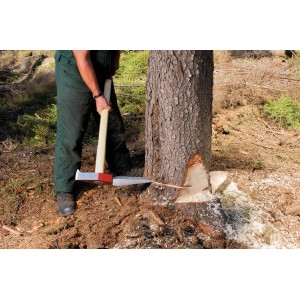 Bûcheron utilisant le coin d'abattage LUX Comfort (1 kg) pour abattre un arbre.