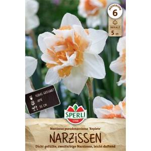 Sperli Gefüllte Narzisse Replete: Apricot-weiße Blüte, ideal für Beet und Kübel.