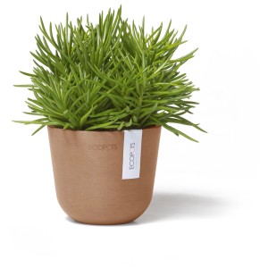 Pot de fleurs Ecopots Oslo Mini Terra, Ø 11,5 cm, avec plante verte.