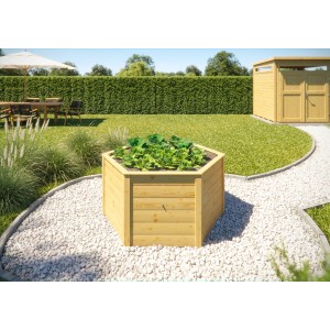 Aiuola rialzata esagonale Weka Element 669 in legno, color naturale, con piante in giardino.