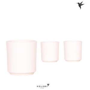Pots pour plantes blancs Kolibri Home Simplicity de différentes tailles. Idéal pour les orchidées et autres plantes d'intérieur.