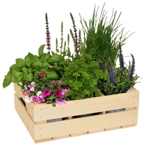 Caisse à herbes en bois remplie de basilic, ciboulette, persil et fleurs colorées.