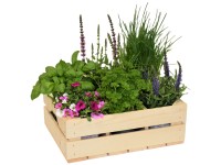 Kräuterkiste Natur (HxBxT) 14 x 39 x 29 cm Kräuterkiste Natur (HxBxT) 14 x 39 x 29 cm