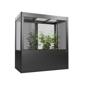 Serre Biohort Florentina gris quartz métallisé pour potager surélevé 2x1m avec plantes.