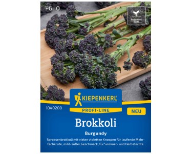 Kiepenkerl Saatgut Brokkoli Burgundy 12 Pflanzen
