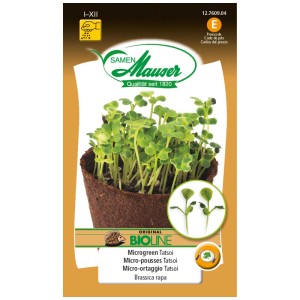 Samen Mauser Bio-Microgreen Tatsoi: Germogli con foglie verdi e steli bianchi in vaso.