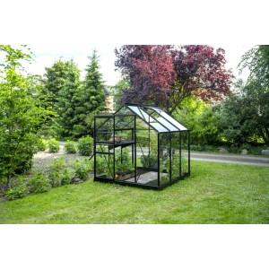 Serre noire Halls Popular 3,8 m² dans jardin avec plantes.