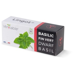 Véritable Lingot confezione di semi di basilico nano biologico per giardini interni.
