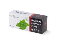 Véritable Lingot Kräutersamen Bio Zwergbasilikum
