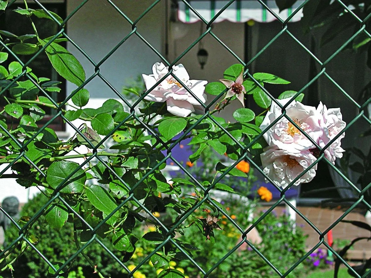 1 Set Di Carrello Di Atterraggio Antivibrante Per Carrello In Lega Per Aereo RC Con Ruota In Plastica PU - Foto 2