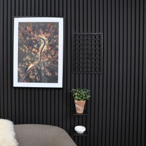 Griglia portaoggetti Denpanels con 4 ganci, nera, per montaggio su pannelli acustici.