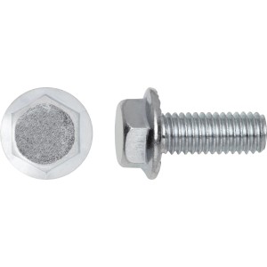 Viti a flangia a testa esagonale Ø 5 x 10 mm acciaio 8 pz.
