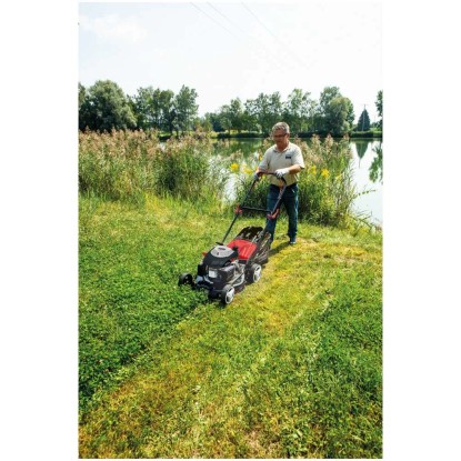 Scheppach BenzinRasenmäher MS16146 161cc kaufen bei OBI