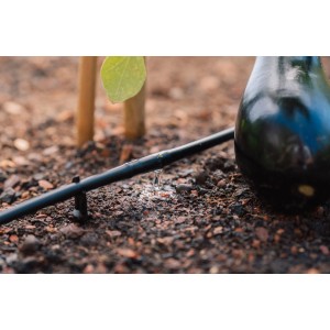 Tubo gocciolante Geka (6mm) in uso per irrigare una melanzana in giardino.
