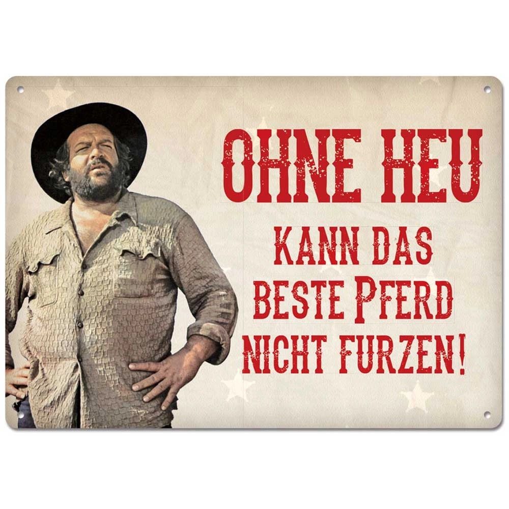 Puag Blechpostkarte Ohne Heu beste Pferd 14,8 x 10,5 cm kaufen bei OBI
