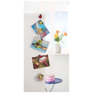 Glorex magneti extra forti, 6 pezzi, per creare e decorare foto e note.