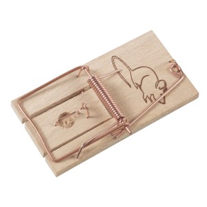 Piège à souris classique en bois, lot de 2 avec porte-appât.