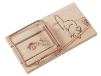 Mäusefalle 2 Stück Mäusefalle 2 Stück