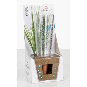 Scheurich Figurine d'arrosage Copa M, transparent, 150ml, pour plantes d'intérieur et de jardin.