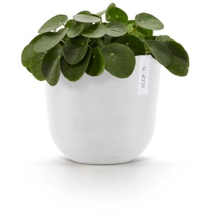 Vaso per piante Ecopots Oslo bianco, Ø 25 cm, con pianta verde. Design senza tempo per interni ed esterni.