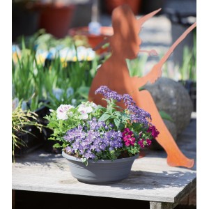 Coupe à plantes Geli Jessica anthracite, Ø 40 cm, plantée de fleurs colorées.