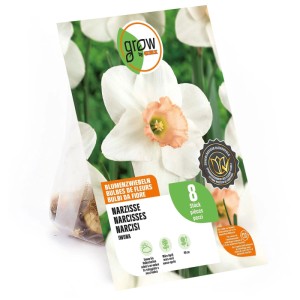 Bulbi di narciso Iwona GROW by OBI, 8 pz. Confezione con fiori bianchi e color salmone.