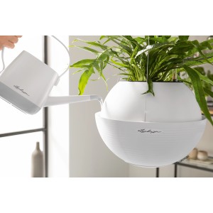 Cesto sospeso bianco Lechuza Bola Color 23 con pianta innaffiata con un annaffiatoio.