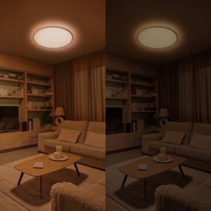 Plafonnier LED Philips Valen blanc, 43 cm, dimmable. Montre lumière chaude et froide dans un salon pour un éclairage flexible.