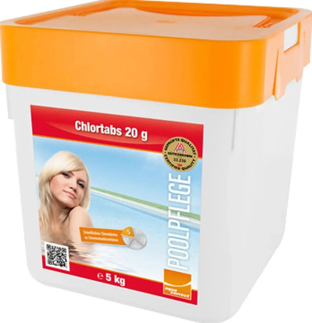 Steinbach Pool Professional Algizid Algezid Standard (5 L